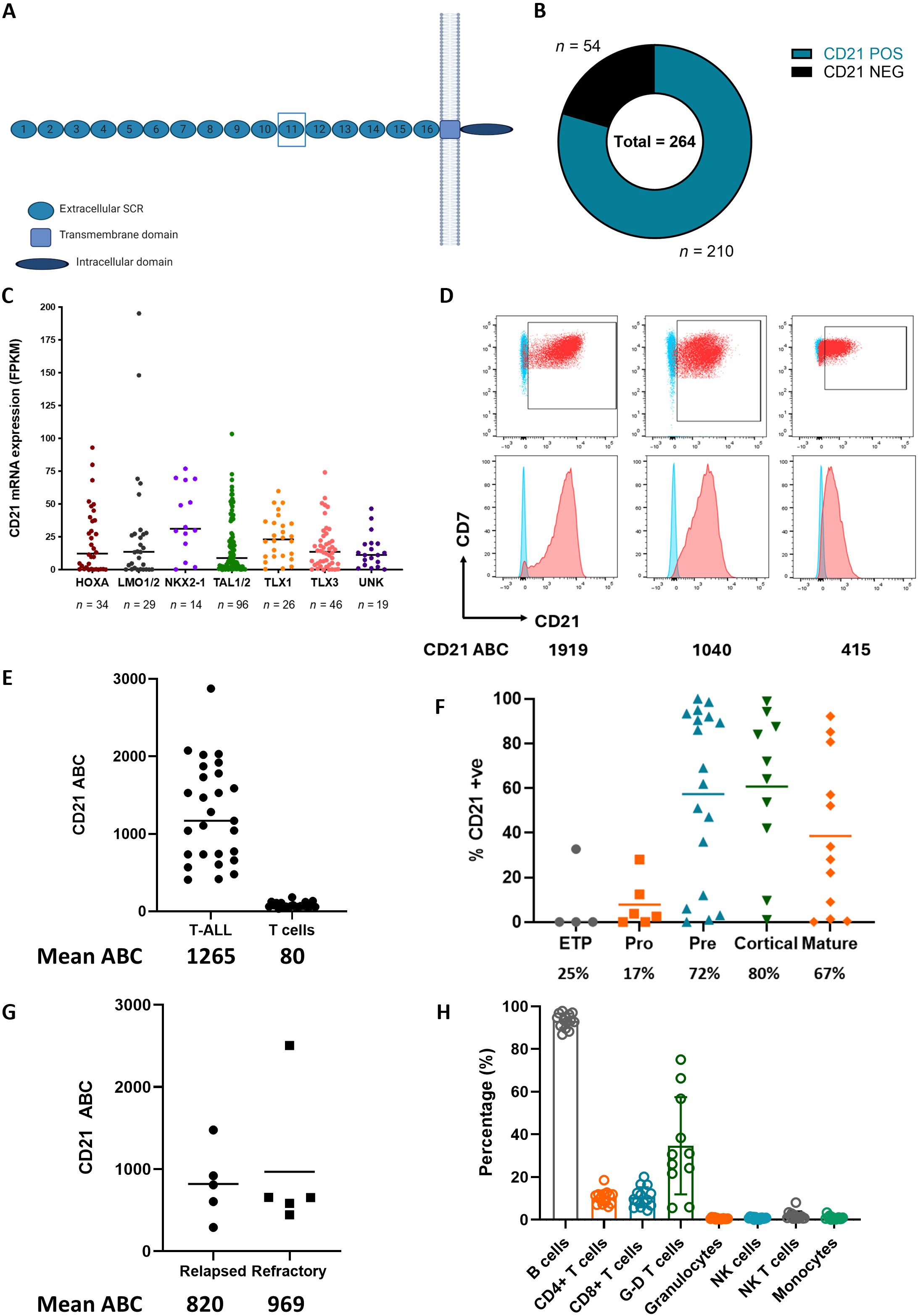 CD21 expression in T-ALL - Science Translational Medicine 2025
